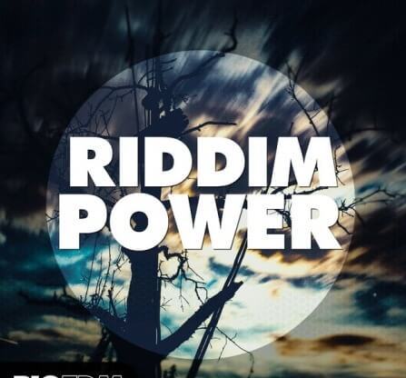 Big EDM Riddim Power WAV MiDi Synth Presets